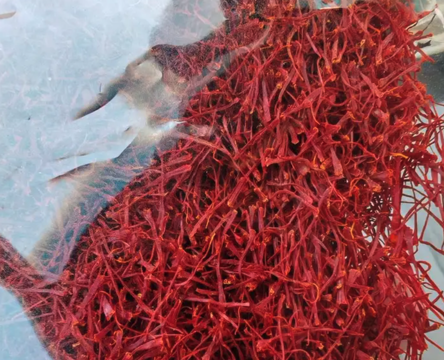 زعفران طبيعي مستور من أفغانستان