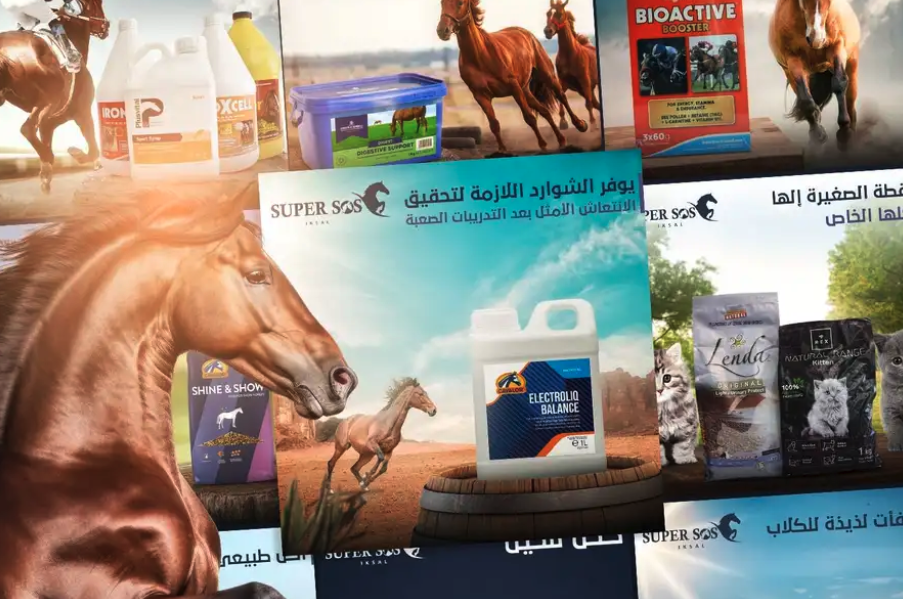 ادارة حسابات سوشال ميديا حملات اعلانية