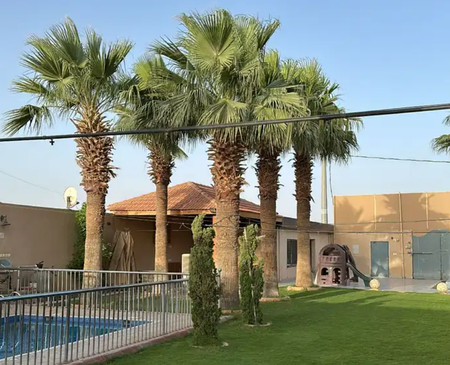 شاليه ايجار يومي متوفر ايام عيد الاضحى