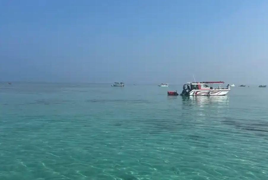 رحلات بحريه صيد وسباحه ونزهه بحريه ورحلات جزيره بياضه