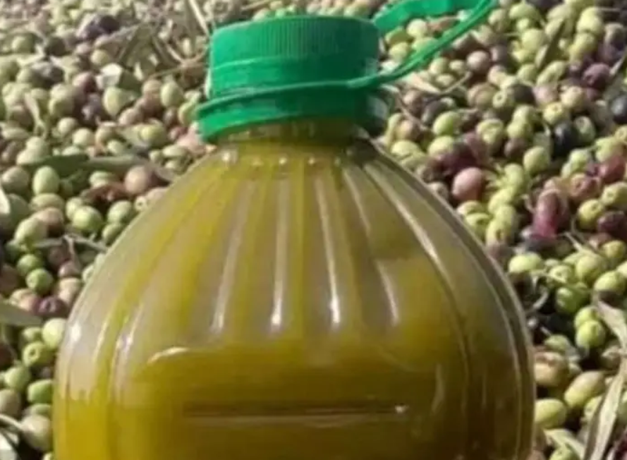 زيت زيتون مغربي عصره عالبارد ماشاء الله