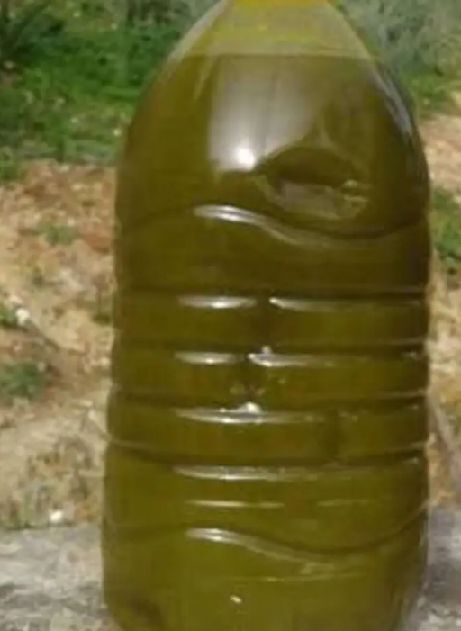 زيت زيتون مغربي عصره عالبارد ماشاء الله