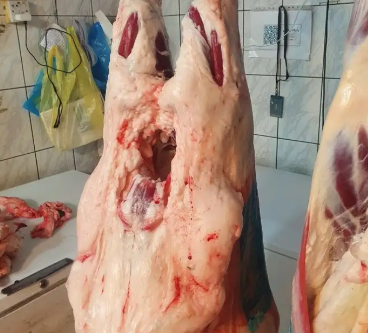مشاوي خارجية حفلات شواء