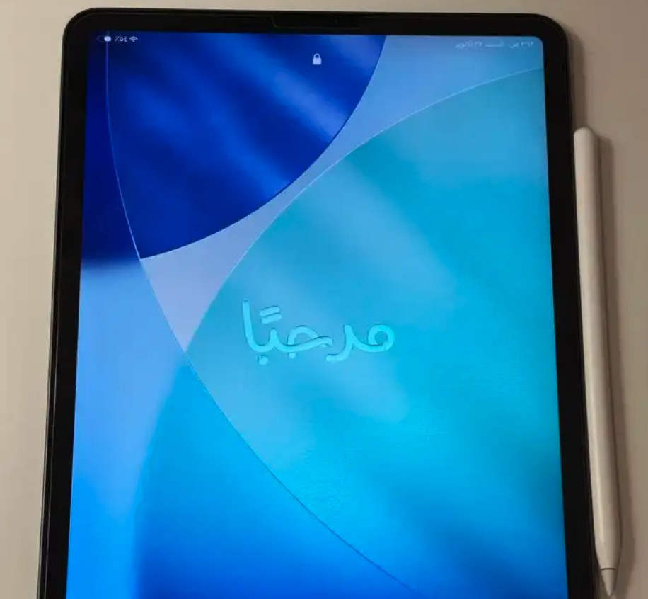 ايباد برو 11 256GB استعمال نظيف