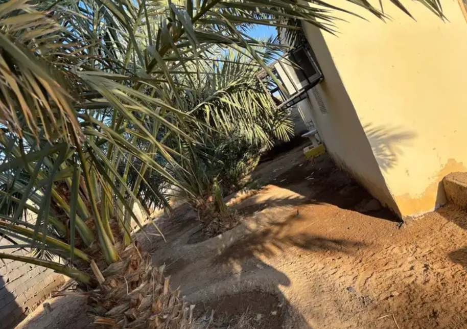 مزرعة للبيع