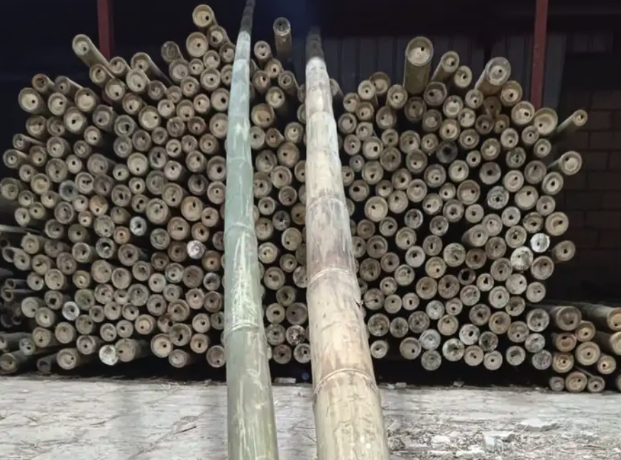 رولات خيزران باكستاني درجه أولى