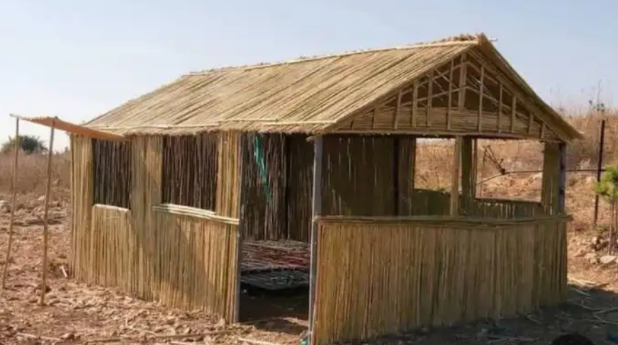 الدوادمي ساجر الرس الجميش البجديه عفيف الطائف القصيم عنيزه