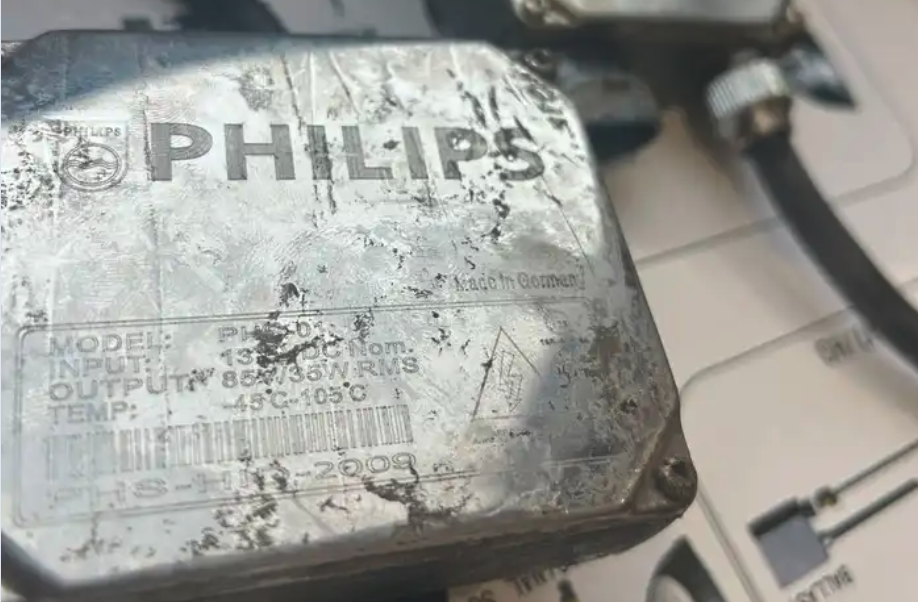 زينون بوش الماني