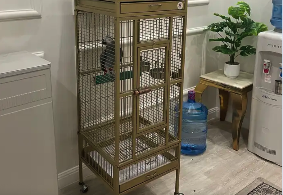 للبيع كاسيكو بالقفص