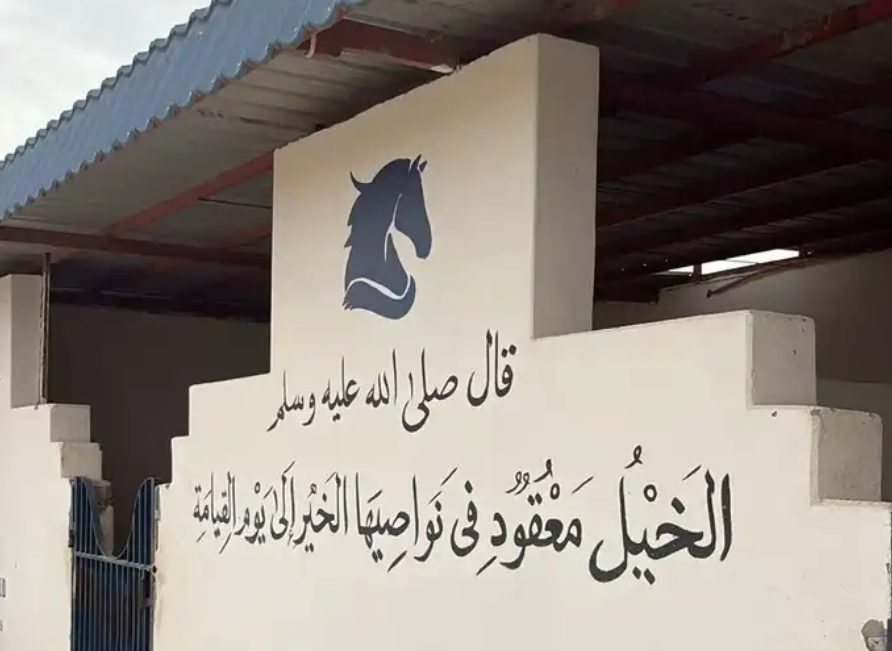 رسام. الاحساء