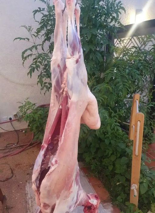 مشاوي خارجية حفلات شواء