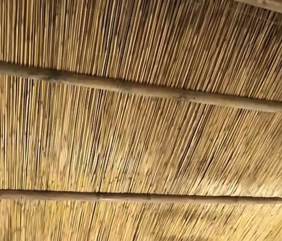 رولات خيزران باكستاني درجه أولى