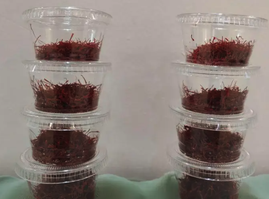 زعفران طبيعي مستور من أفغانستان