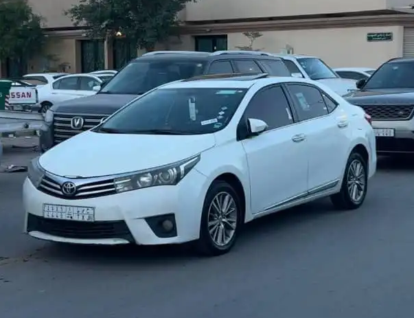 كورلا 2019