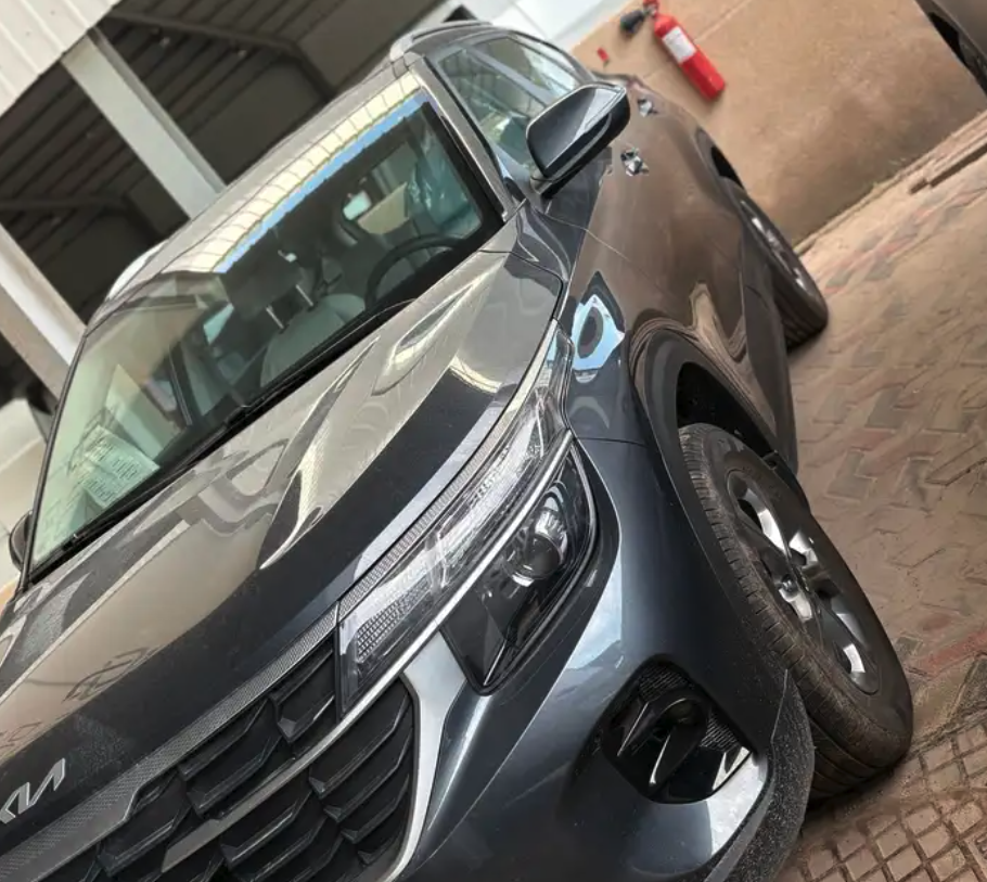 سيلتوس ستاندر مطور 2026