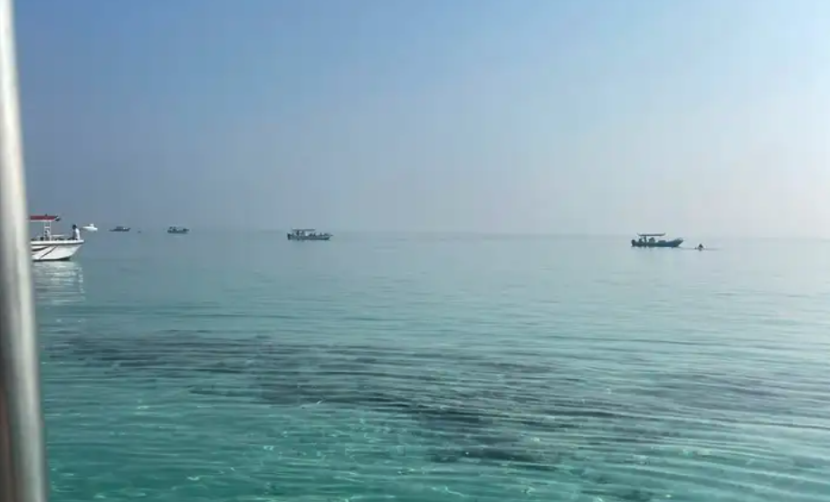 رحلات بحريه صيد وسباحه ونزهه بحريه ورحلات جزيره بياضه