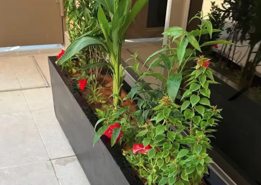 احواض فايبر جلاس احواض زراعة احواض بلاستيك