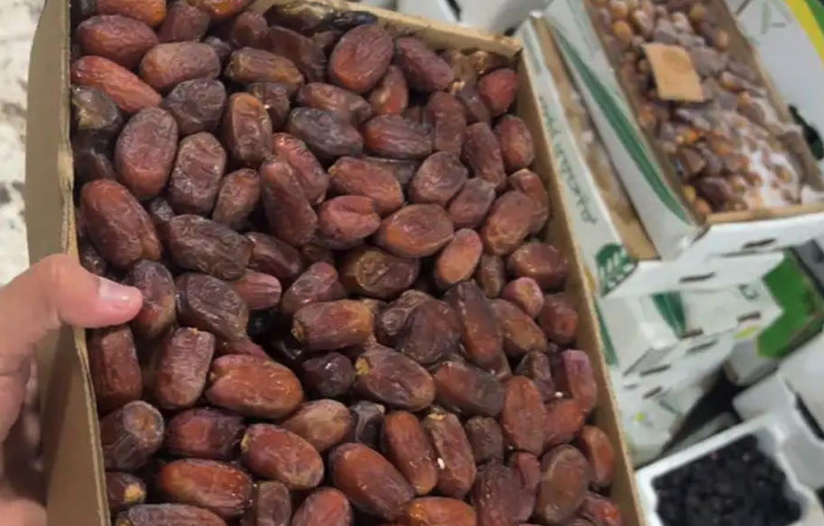 تمر ربيعه و شلبي