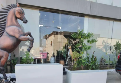 احواض زراعية فايبر جلاس