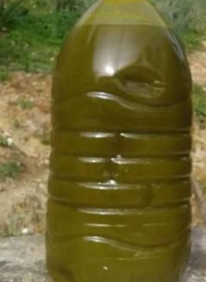 زيت زيتون مغربي عصره عالبارد ماشاء الله