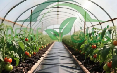 ملش زراعي أسود بجودة عالية