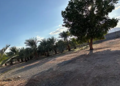 مزرعة للبيع