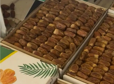 تمر صقعي رطب رقم2