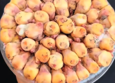 مغلقات شحمم ولحم عرض لفتره محدوده