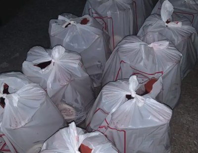 سوبيا سعيد الخضري