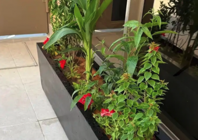 احواض فايبر جلاس احواض زراعة احواض بلاستيك