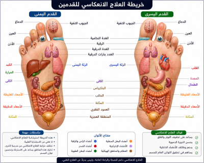 خريطة العلاج الإنعكاسي للقدمين