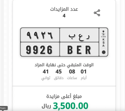 لوحة مميزة في مزاد ابشر رعب ر ع ب 9926