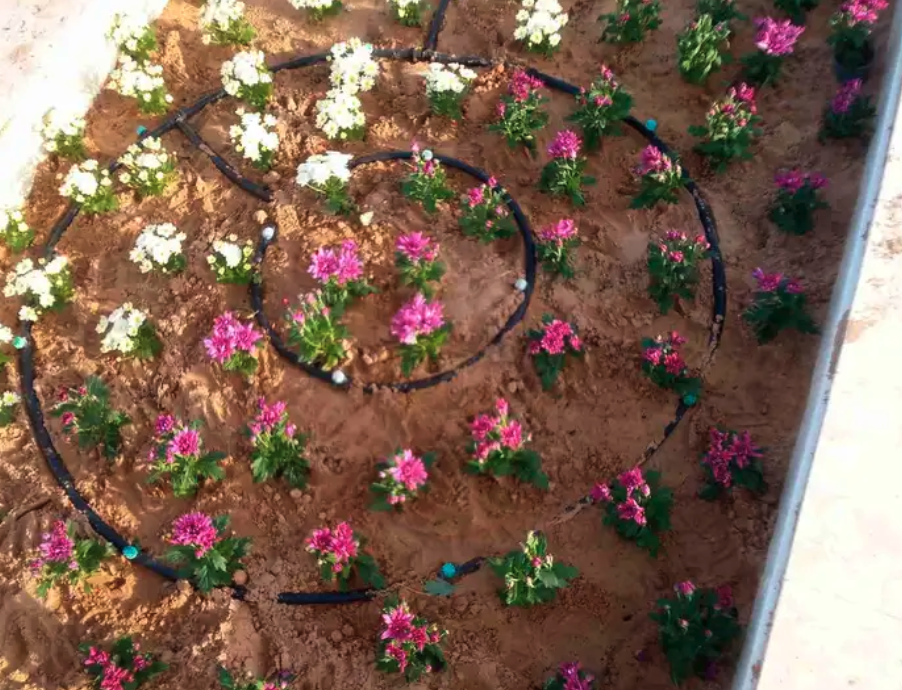 مشتل ابوساجد لتنسيق الحدائق وبيع الاشجار والزهور والنباتات