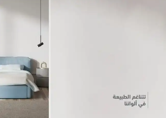 معلم ديكورات بويا في جده